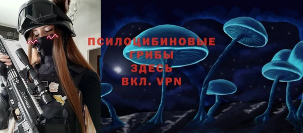 дурь Аркадак