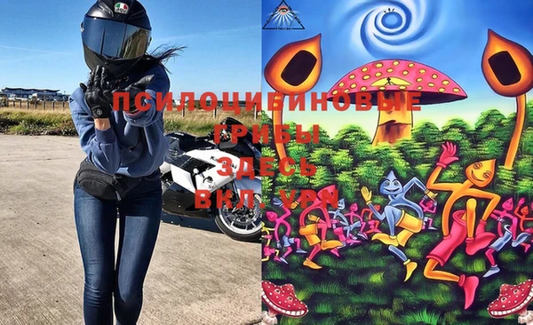 дурь Аркадак