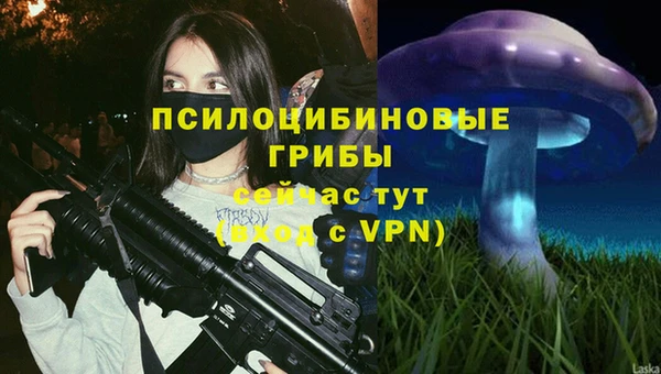 дурь Аркадак