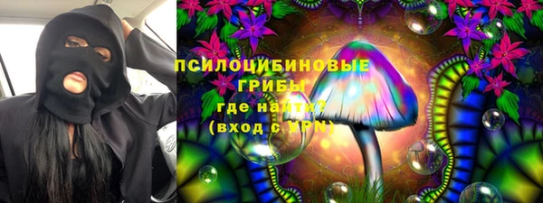 дурь Аркадак