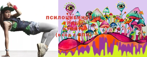 дурь Аркадак