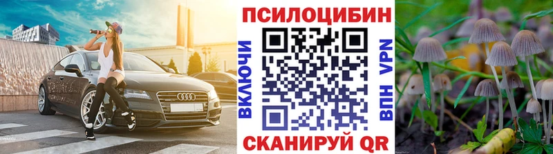 Псилоцибиновые грибы Cubensis  Чистополь 