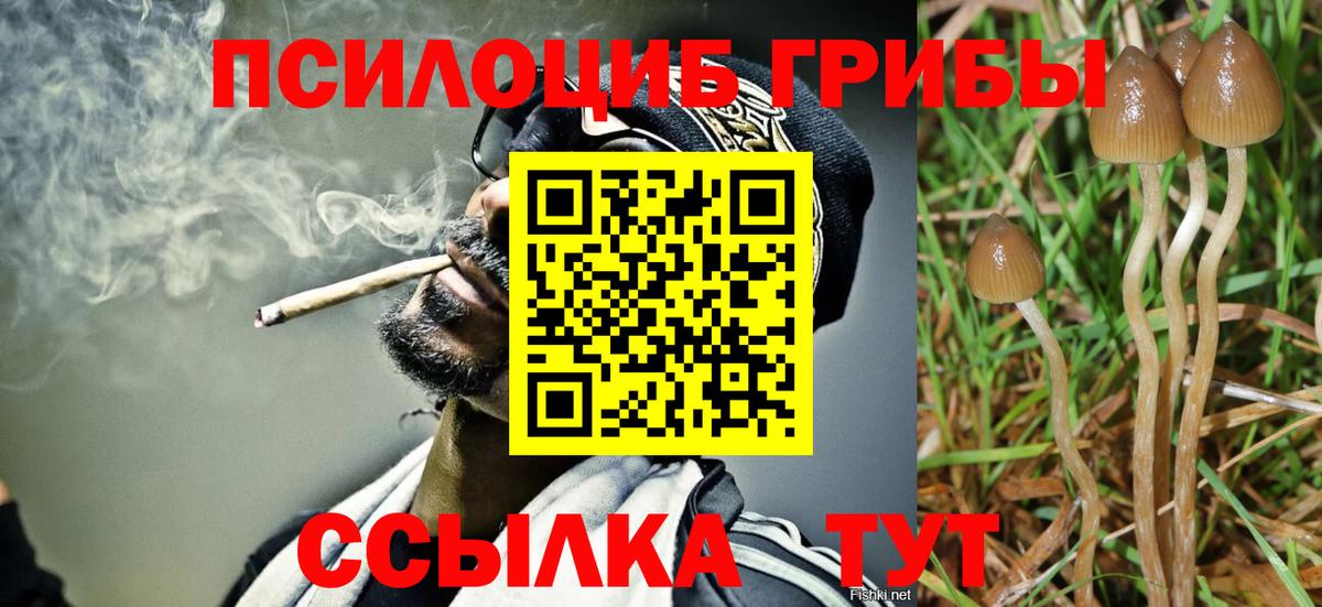 Чистополь  Псилоцибиновые грибы GOLDEN TEACHER  Вход с VPN 